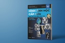 Hình ảnh học cấp cứu, hình ảnh các bệnh lý cấp tính