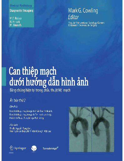 Can thiệp mạch dưới hướng dẫn hình ảnh, bằng chứng hiện tại trong phẫu thuật nội mạch 2E 236p